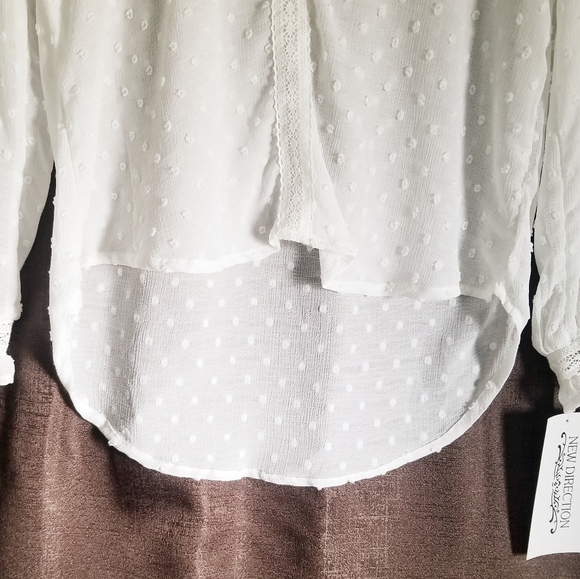 NWT, New Direction Sheer Dot Textured Blouse - Picture 4 of 10